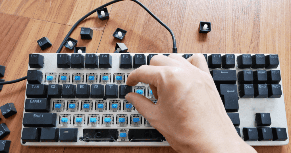Removable switches on a mechanical keyboard